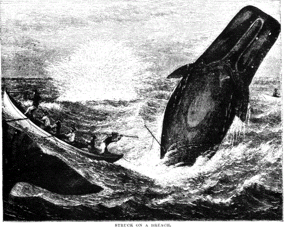 19th century whaling tales. vist0089v